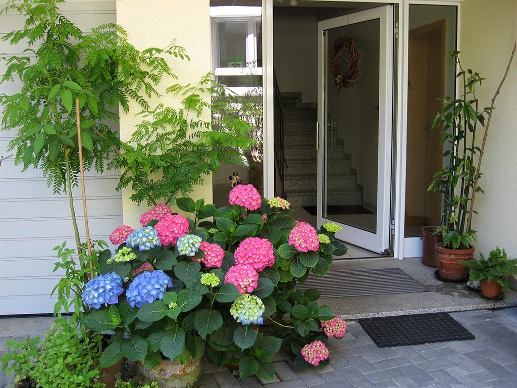 Die Sprachpension - The Language Guesthouse Vogtsburg Exterior foto