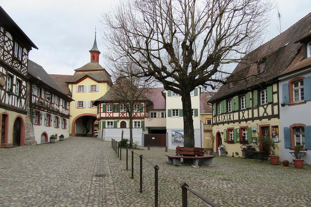 Die Sprachpension - The Language Guesthouse Vogtsburg Exterior foto