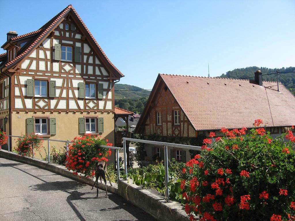 Die Sprachpension - The Language Guesthouse Vogtsburg Exterior foto